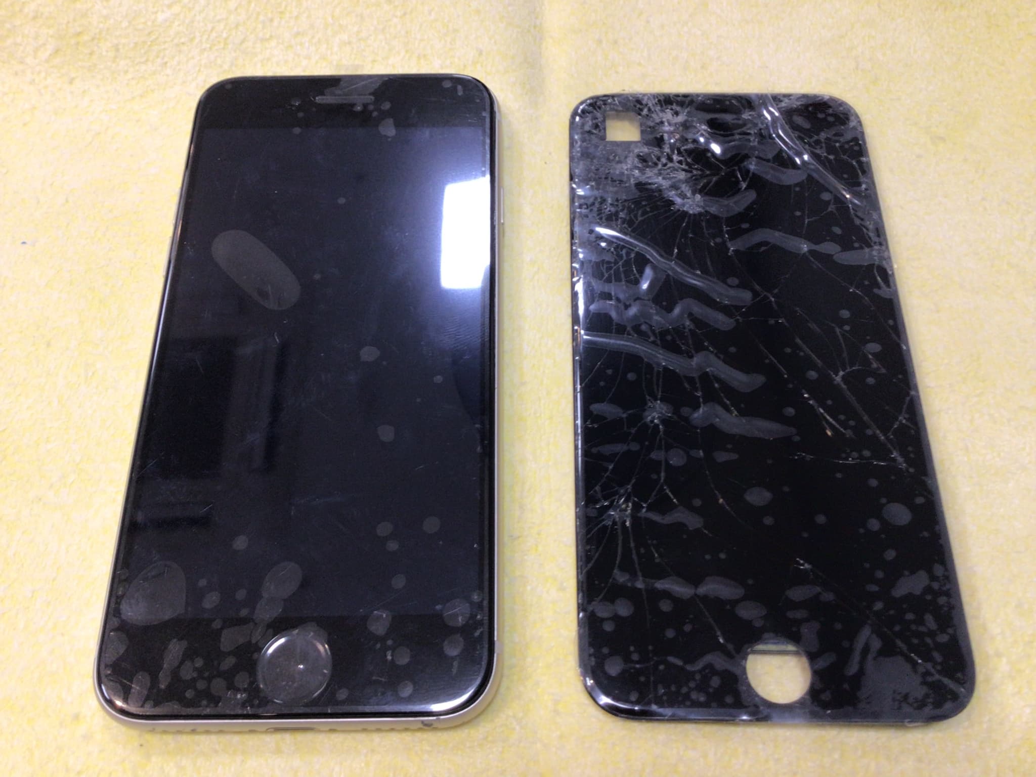 ふじみ野市、川越市、所沢市でiPhoneSE3の即日画面交換なら【スマホ修理工房イオン大井店】にお任せください！